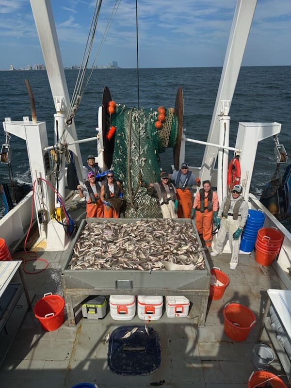 A boat with many different types of fish.