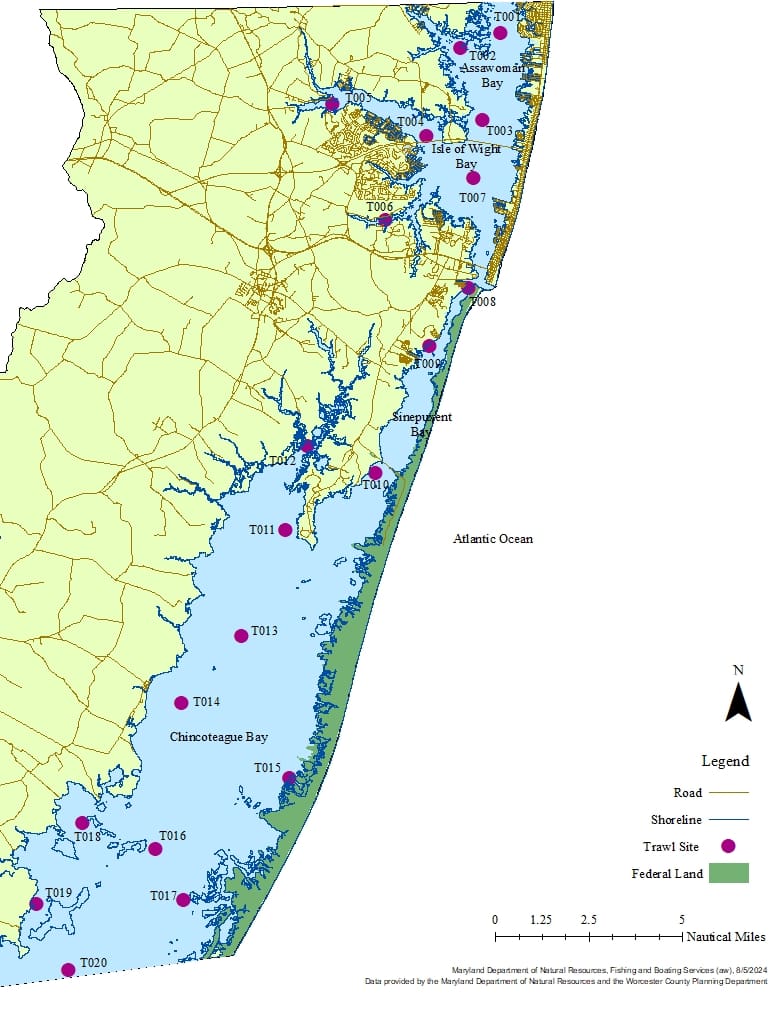 Map of Maryland's coastal trawl sites.